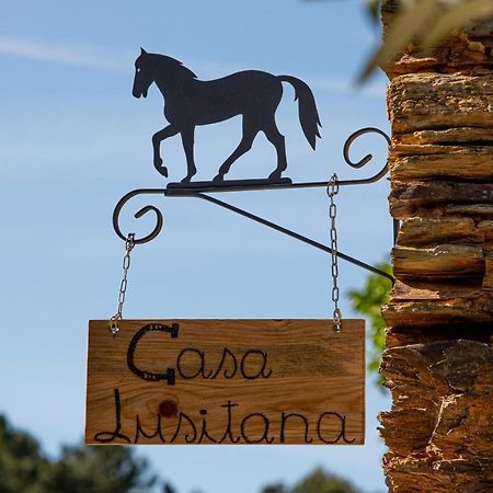 Cavalo De Xisto - Turismo Rural, Lda. Pensionat Almaceda Exteriör bild