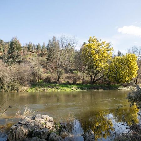 Cavalo De Xisto - Turismo Rural, Lda. Pensionat Almaceda Exteriör bild