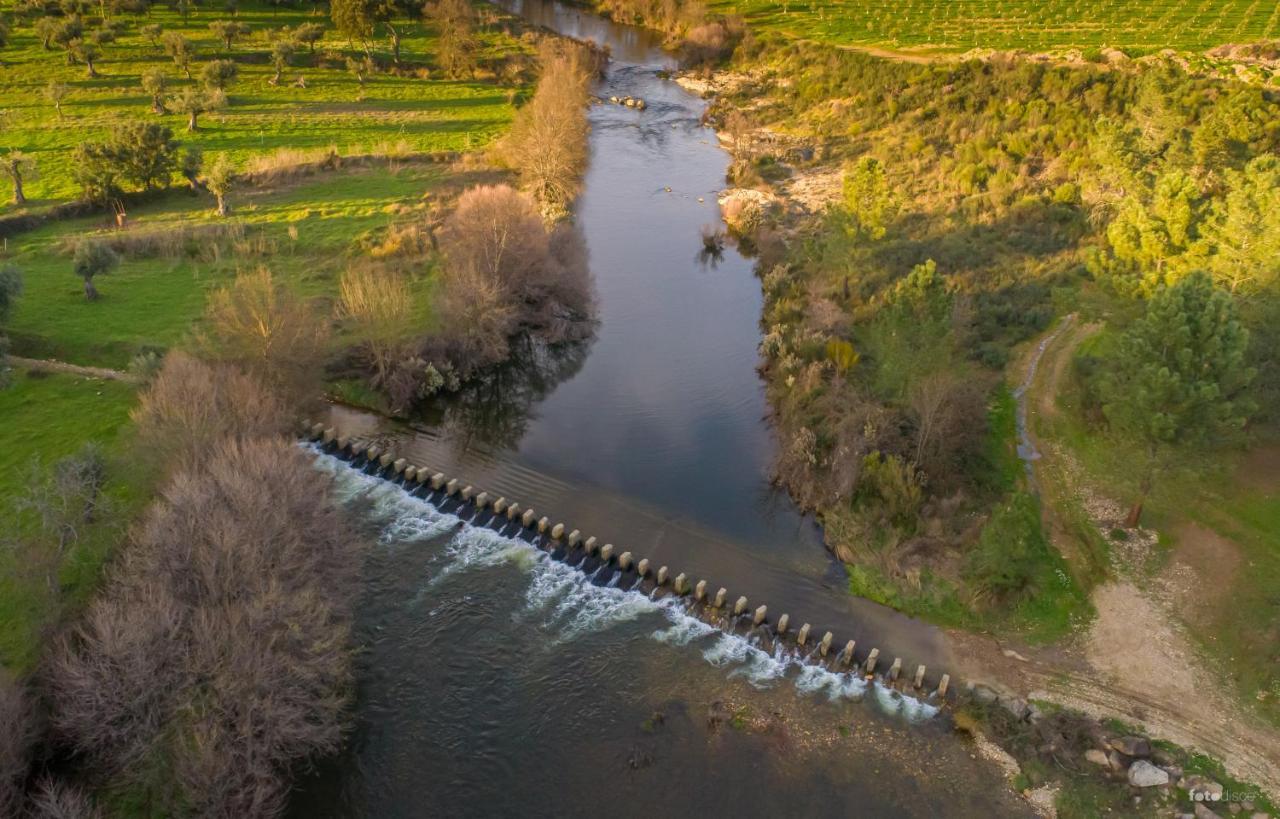 Cavalo De Xisto - Turismo Rural, Lda. Pensionat Almaceda Exteriör bild