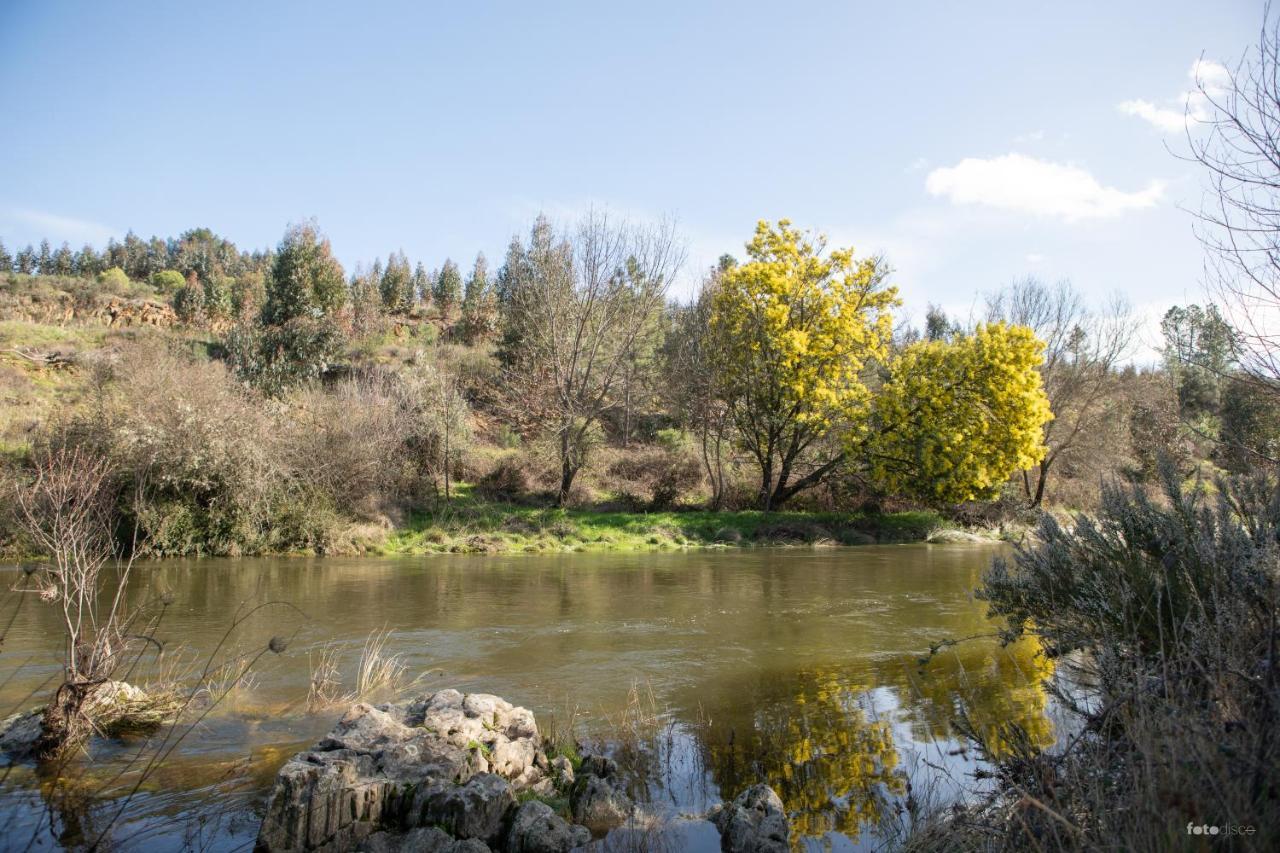 Cavalo De Xisto - Turismo Rural, Lda. Pensionat Almaceda Exteriör bild
