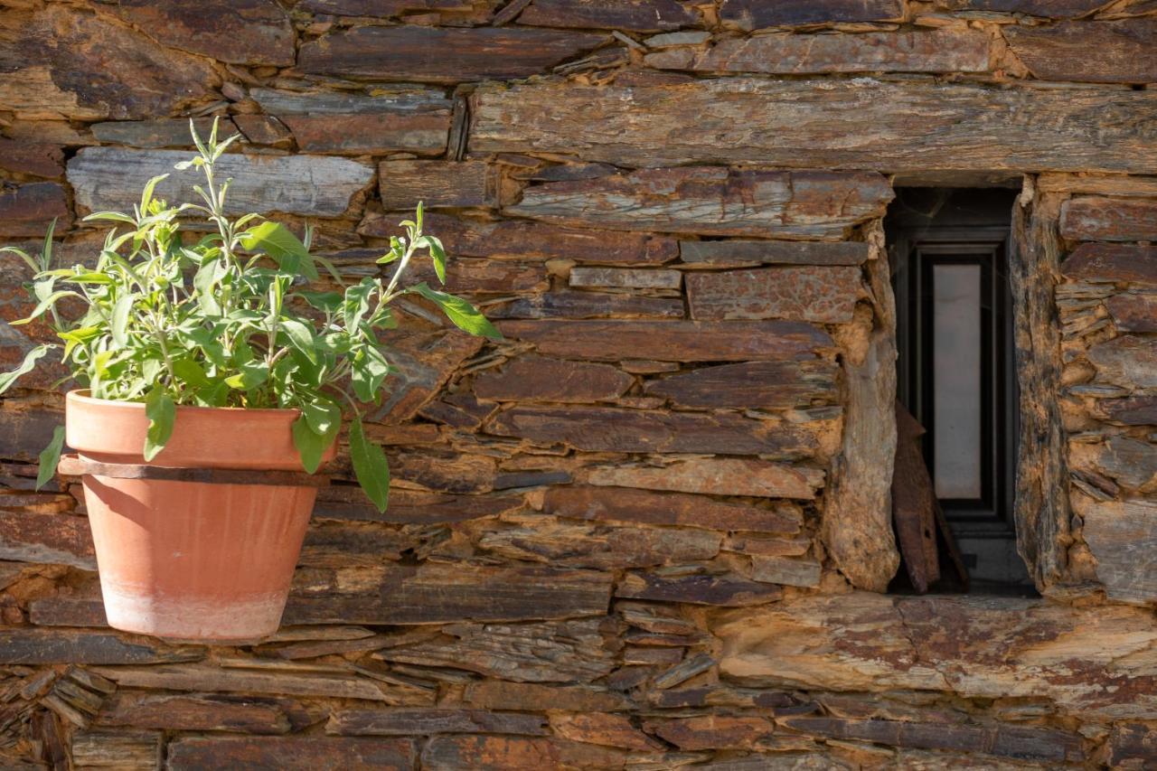 Cavalo De Xisto - Turismo Rural, Lda. Pensionat Almaceda Exteriör bild