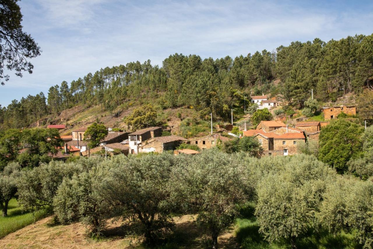 Cavalo De Xisto - Turismo Rural, Lda. Pensionat Almaceda Exteriör bild