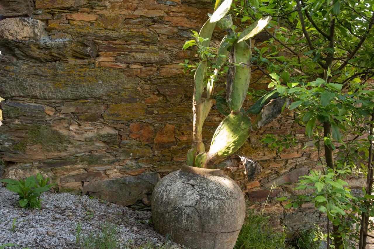 Cavalo De Xisto - Turismo Rural, Lda. Pensionat Almaceda Exteriör bild
